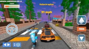 Маинкравт❤️🌿