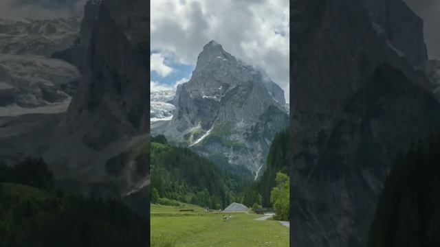 МАША КОНДРАТЕНКО #music смотреть онлайн