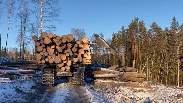 ECO LOG 594E - 19 928772 2/3 смотреть онлайн