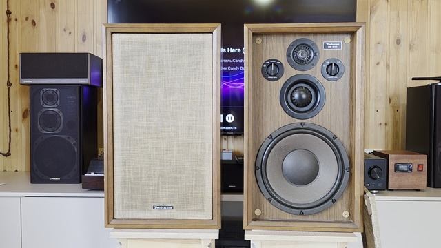 Акустическая система Technics SB-500 смотреть онлайн