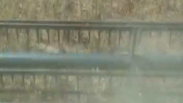 Arkansas Soybean Update смотреть онлайн