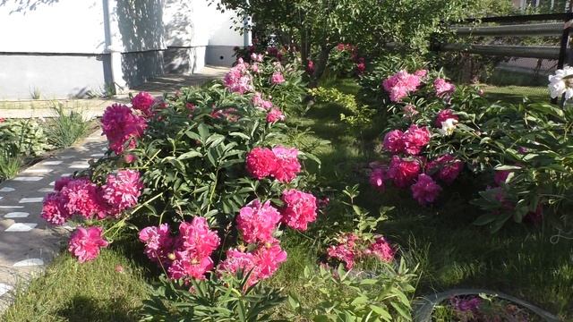 Катя - Клубника смотреть онлайн