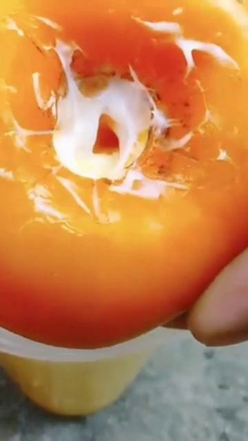 grow persimmon tree # short смотреть онлайн
