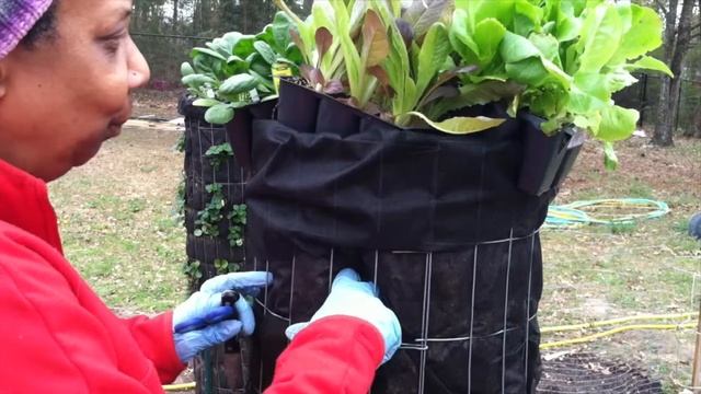 Tower Gardens Part 1 of 2 смотреть онлайн