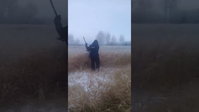 Зимняя заготовка сена смотреть онлайн