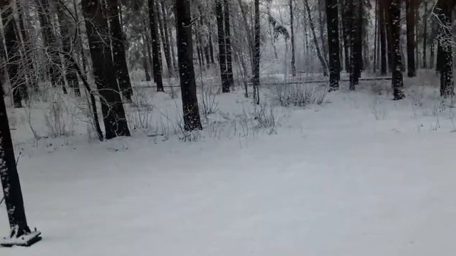 Прогулка по парку смотреть онлайн