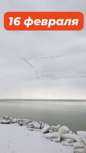 Что творится на берегу Азовского моря. Ейск.