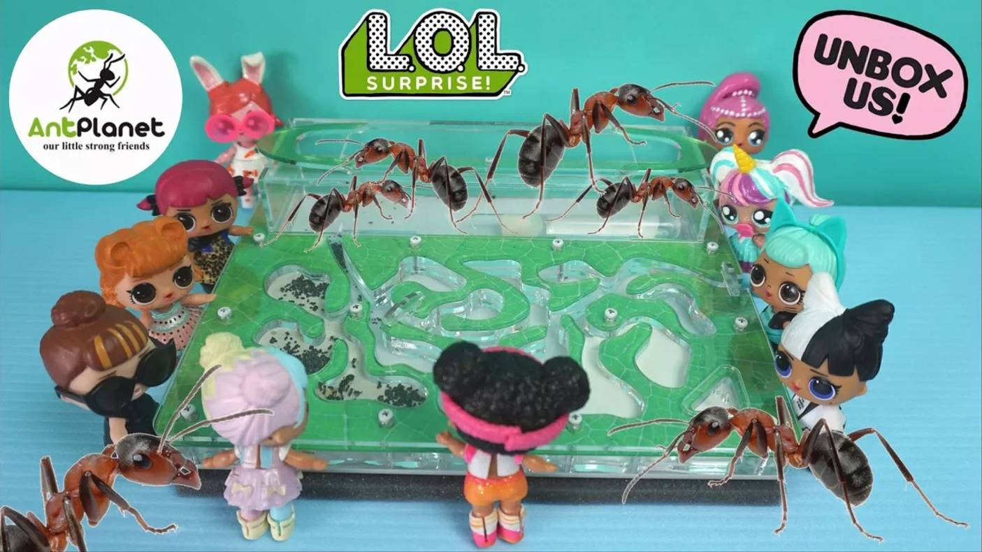 Муравьиная Ферма Куклы ЛОЛ Сюрприз идут на экскурсию Питомцы в Реальной Жизни смотреть онлайн