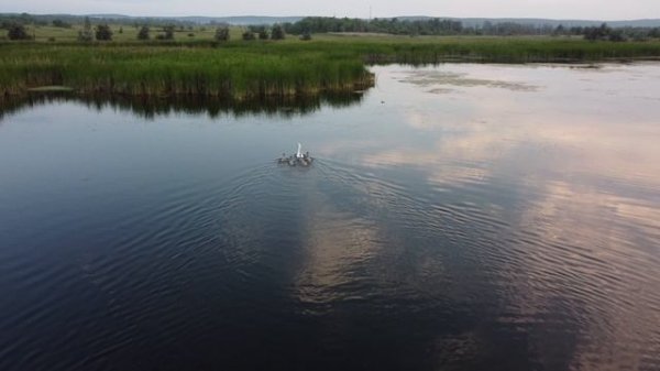 Озеро вблизи Экодолье - Самара