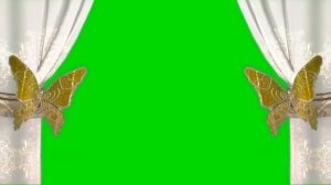 ФУТАЖ БАБОЧКИ БОРДЮР ХРОМАКЕЙ