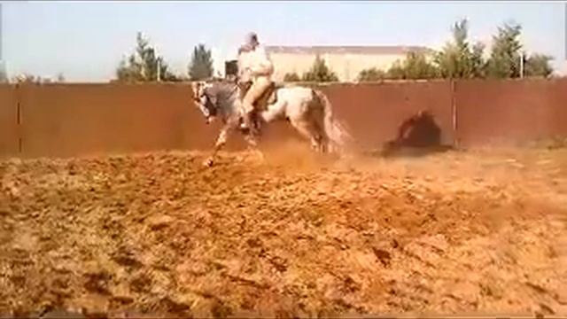 лузитано смотреть онлайн