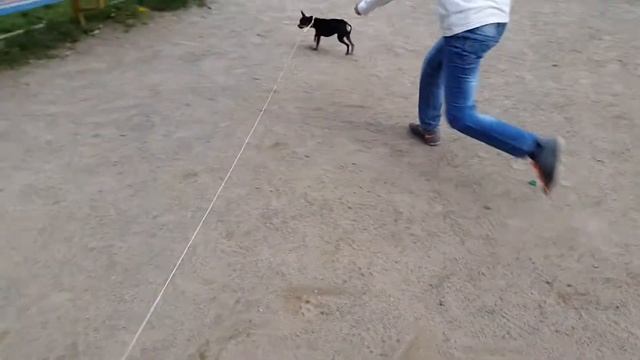 Криса смотреть онлайн