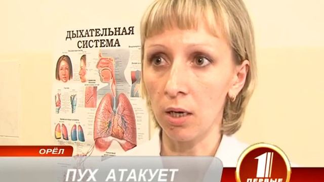 ПУХ АТАКУЕТ смотреть онлайн