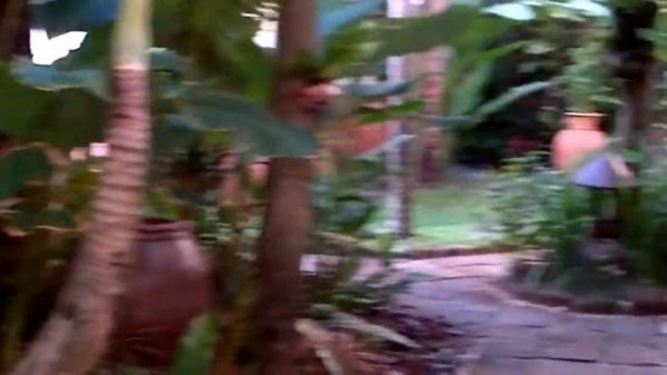 Thai House Beach Resort