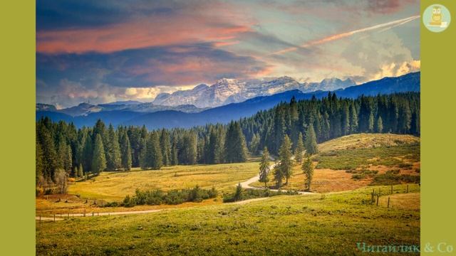 Сосна - Леся Українка смотреть онлайн