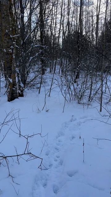 Зима в деревне