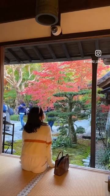 2023第一次賞楓，人不多的圓光寺🍁#Autumn #mapleleaves #japan #kyoto смотреть онлайн