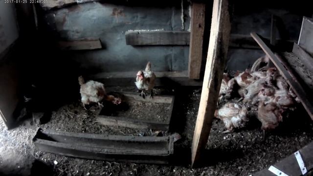 Беженки на свободе смотреть онлайн