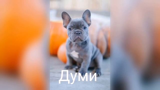 украинские песни смотреть онлайн