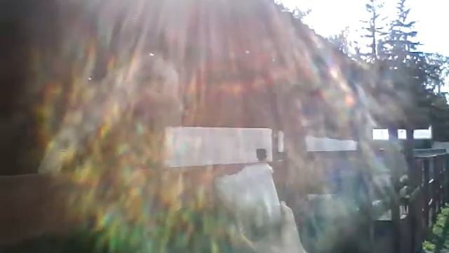 Страусиный двор в омском парке 30-летия ВЛКСМ, часть 16. И снова страусиная кормежка :) смотреть онлайн