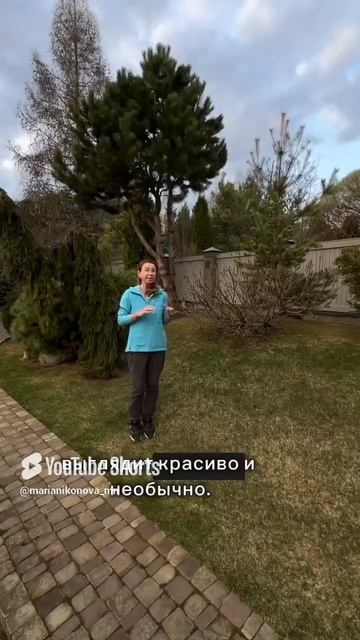 Куда деть глину после стройки на участке?! смотреть онлайн