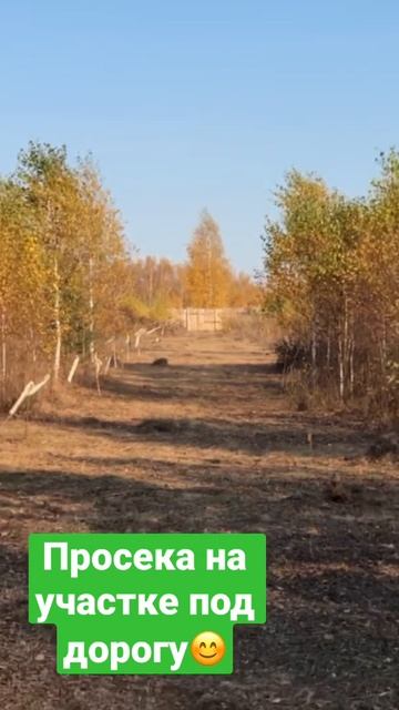 Просека на участке под будущую дорогу. смотреть онлайн