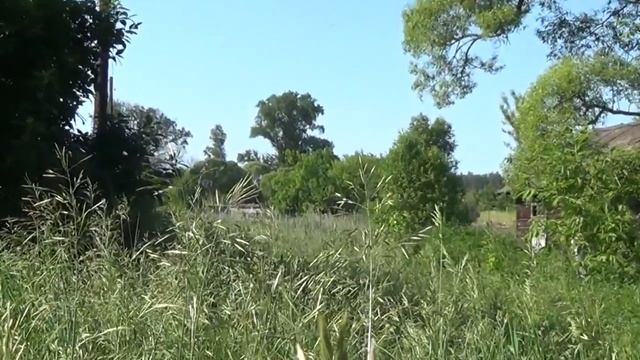 с.Бычки, Бондарский район смотреть онлайн