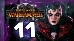 Эльспет фон Дракен Total War Warhammer 3 прохождение за Империю (сюжет) - часть 11
