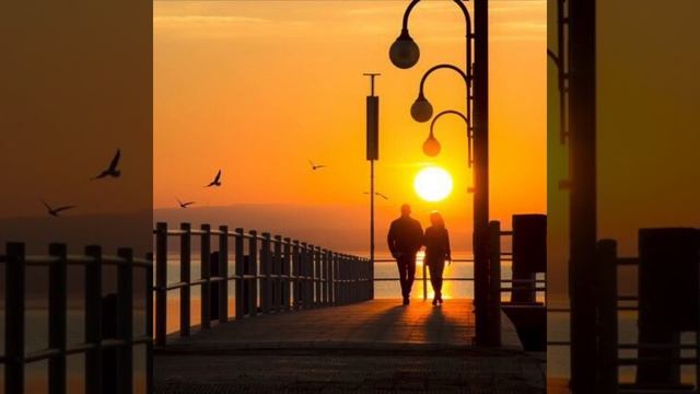 Pierre Morin - La fidélité , mon amour смотреть онлайн