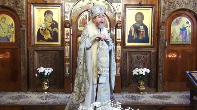 проповедь на блудного сына смотреть онлайн