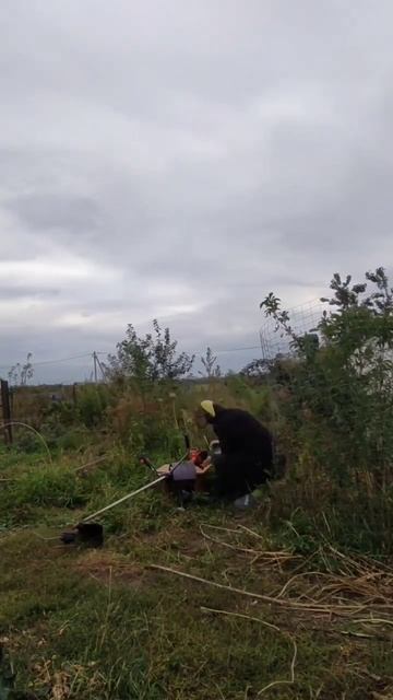 Подготовка грядок для клубники. ч.2 Посадка клубники осенью смотреть онлайн