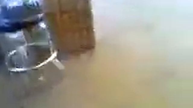 Franko! смотреть онлайн