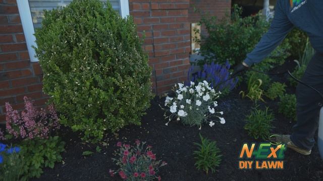 Restoring Plants with FloraGreene смотреть онлайн