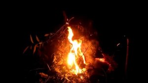 футаж костер