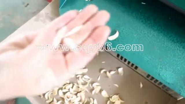 2020 New Invented No Damage Fresh Lily Bulbs Separating and Stripping Machine смотреть онлайн