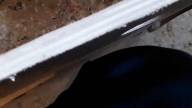 Осмотр гнёзд.2. Первый птенец. 🐣 смотреть онлайн