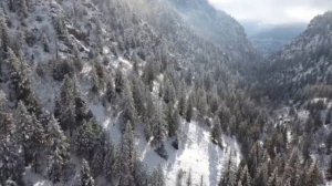 Дом восходящего солнца