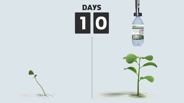 TNB Naturals - The Enhancer Growth Video. Natural CO2 generator смотреть онлайн