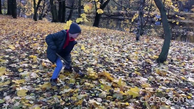 Лицейская осень. ГБОУ лицей № 384 смотреть онлайн