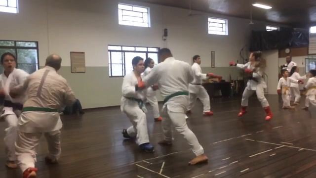 Treino kumite Sensei Luciano dos Santos смотреть онлайн