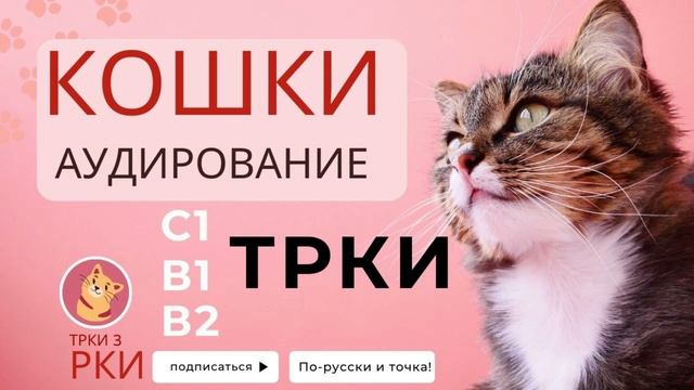 КОШКИ | CATS#трки #трки #torfl #c1 #russianlanguage #russiangrammar