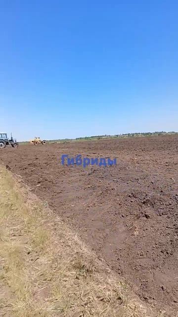 посевная подсолнечника продолжается 25.05.2024 #фермер #сельскоехозяйство #подсолнечник #посевная смотреть онлайн