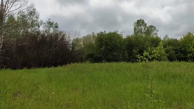 Нашел сад с Иргой. смотреть онлайн