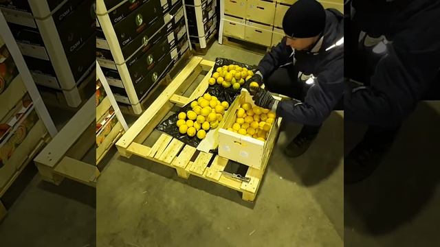 Лимон из Испании, проблемы по качеству. смотреть онлайн