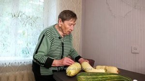 Кабачки.  Как выбрать кабачки для хранения.