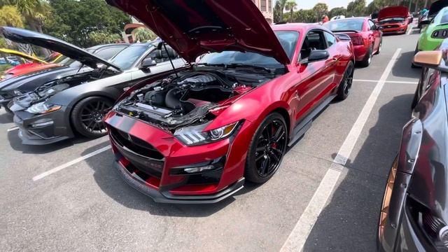 Big Meeting at Carolina Ale House! Mustang Week 2021, Myrtle Beach South Carolina смотреть онлайн