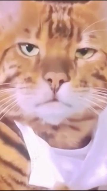 Романтика смотреть онлайн