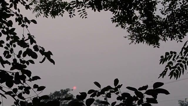 Sunset in China смотреть онлайн