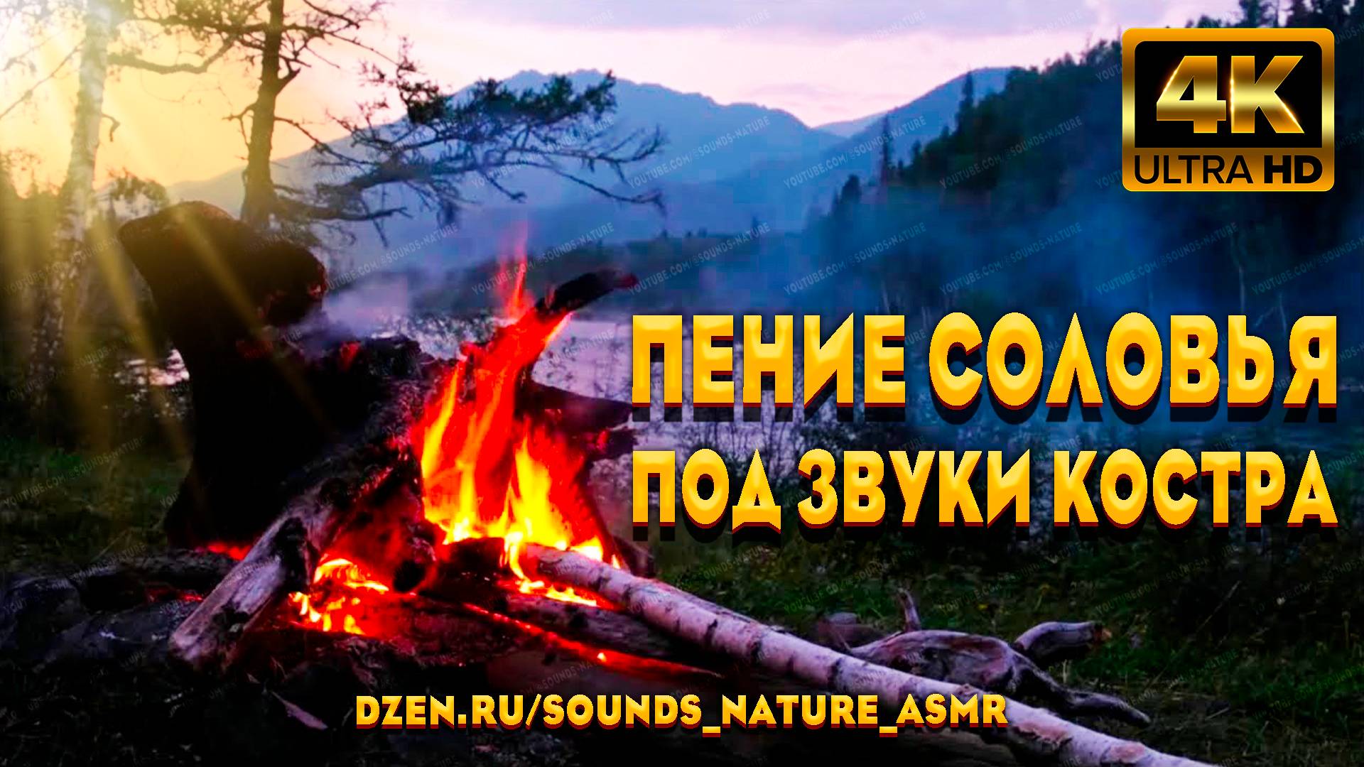 Пение Соловья На Закате, Под Звуки Горящего Костра У Реки. Звуки Природы ASMR. смотреть онлайн