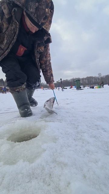 Поимка форели смотреть онлайн